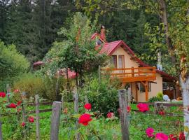 Forest Vibes Spa, hotel with parking in Cîmpu lui Neag