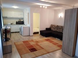 Apartament 4 Central, pet-friendly hotel in Târgu-Mureş