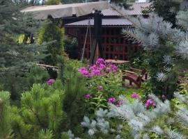 Дом в пригороде Санкт-Петербурга