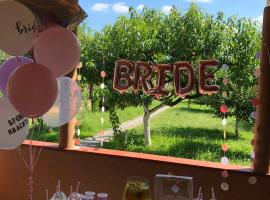 Апартаменти Annamari, hotel in Pavshyno