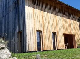 Ferienwohnung Schönenbühl, viešbutis mieste Hitizau