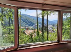 Tudor View Apartament