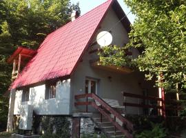 Casa de oaspeti Boga, hotel with parking in Pietroasa