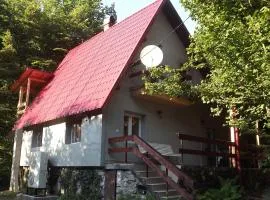 Casa de oaspeti Boga