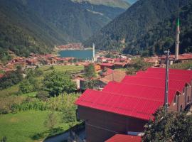 Horio Villa, hotel u gradu 'Uzungöl'