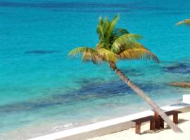 The Horny Toad Guest House, guest house in Simpson Bay