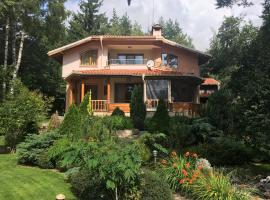 Luxury Villa Borina, hôtel à Zheleznitsa près de : Parc naturel du Vitosha