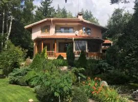 Luxury Villa Borina