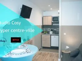 Les studios de l'hyper centre ville