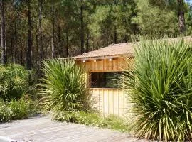 Vacances Océan Maison bois Lège Cap Ferret 1-4p