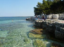 Happy Camp Mobile Homes in Brioni Sunny Camping