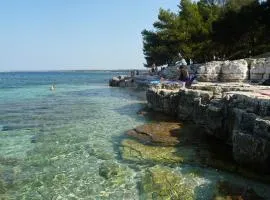 Happy Camp Mobile Homes in Brioni Sunny Camping