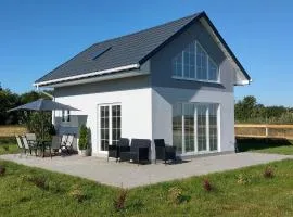 Dom z basenem nad rzeką PIlicą