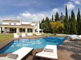 Modern Palmeras