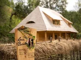 Casa Bunicilor Apuseni