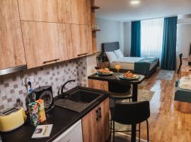 Magellan Family Lux Apartments Novi Sad, hotel in Novi Sad