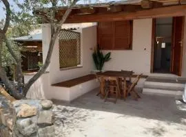 Domus Claudia