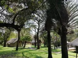 Shumba Safari Bush Camp