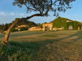 La Marrana - Castello del Terriccio