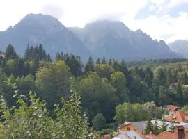 Pensiunea Luna