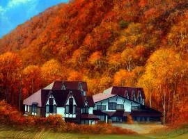 Tsubame Highland Lodge燕ハイランドロッジ