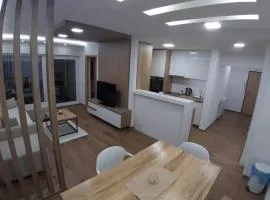 Serbian home, Gandijeva 162