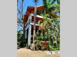 Entire Nosara Tree House
