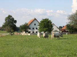 Traubshof, pigus viešbutis mieste Ochsenhauzenas