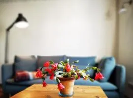 charmantes Apartment Siebenschläfer - Ferienwohnung Café 7