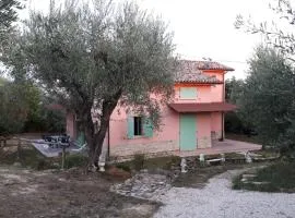 Le Rondini