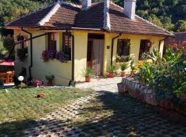 Guest House „Ivanovata house”, hotel with parking in Yanʼovets