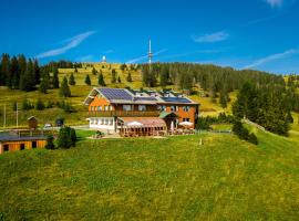 Berggasthof zur Todtnauer H&uuml;tte