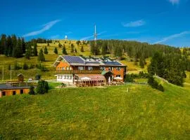 Berggasthof zur Todtnauer Hütte