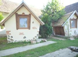 Kuća za odmor ''S'', farm stay in Mladenovo