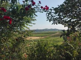 Agriturismo La Chiesina – gospodarstwo agroturystyczne w mieście Torrita di Siena