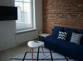 Apartament Gliwice Centrum Witkiewicza I