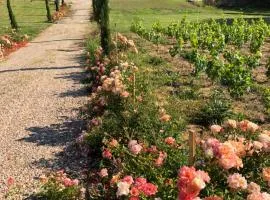 Allée des Roses
