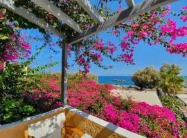 Nostos Beach