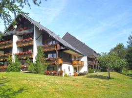 B2 Albmatte-FEWO Sauna, Hallenbad Außenbecken Massagen nebenan, ski resort in Menzenschwand-Hinterdorf