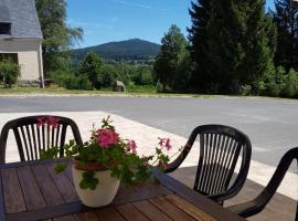 Pension und Gasthof Reithmeier, hotel v destinaci Nagel