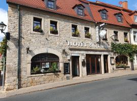 Hotel Zur Traube, hotel a Freyburg