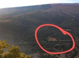 Cortijo Close