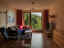 Apartmán Švadlenka, hotel near Ski Lift Lysá hora, Rokytnice nad Jizerou