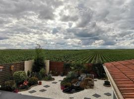 Au Bouchon Champenois, hotel com estacionamento em Bouzy