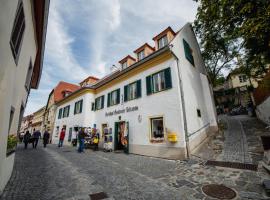 Smile Apartments zum Goldenen Strauß, hotel v destinaci Dürnstein