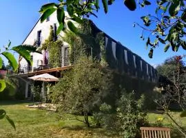 Apartmány Ruprechtov