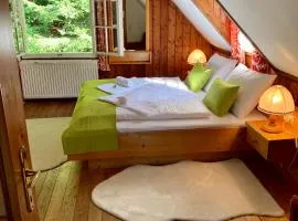 Das AlplResort "ALMfrequenz"