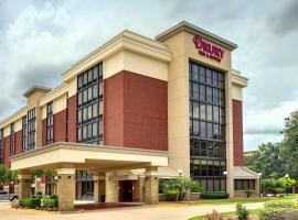 Drury Inn & Suites Houston The Woodlands，兀蘭的飯店