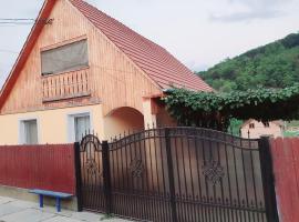 Casa Maria, holiday rental in Mălîncrav