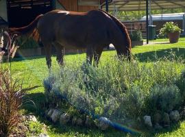 Family Farm Soc. Agr. a r.l., hotel with parking in Vairano Patenora